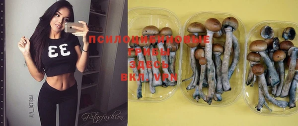 ешки Алзамай